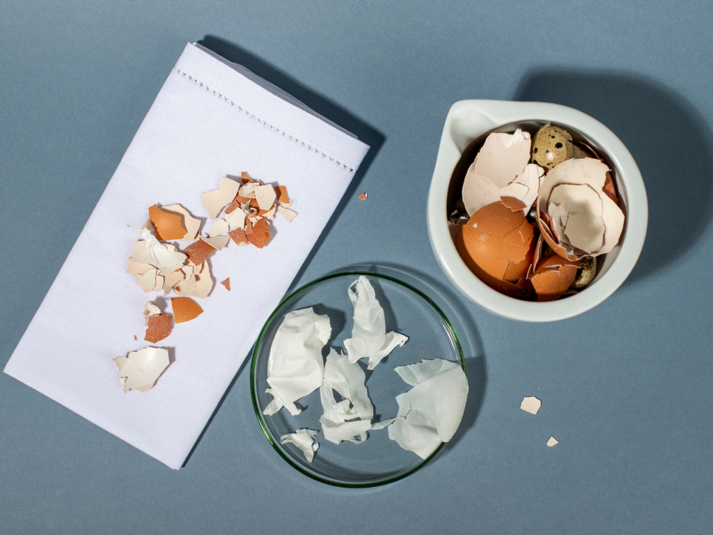 La membrane d’oeuf, nouvelle révolution